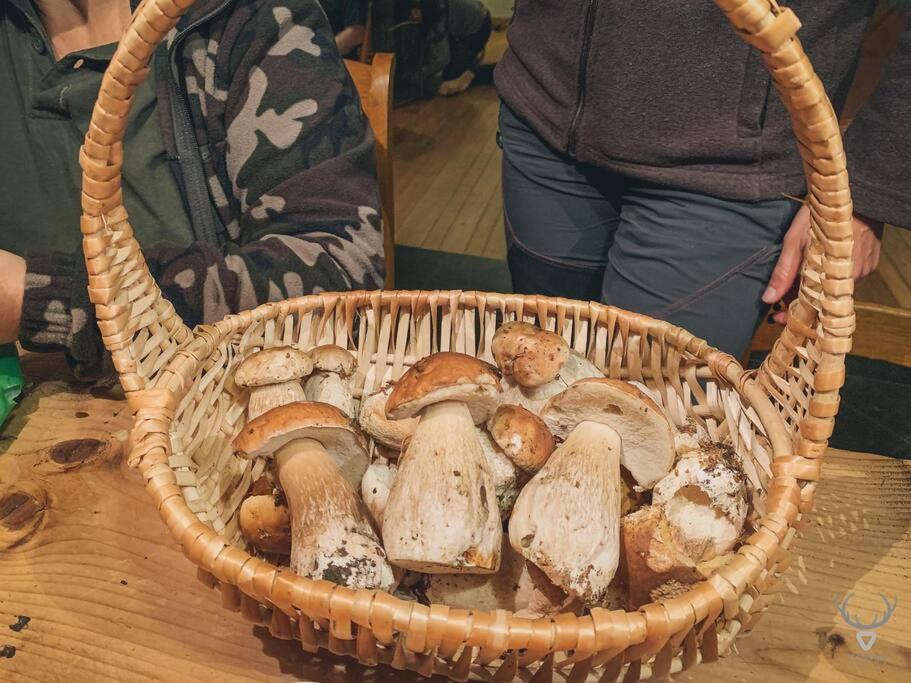 A L'Entree Du Verger - Charmante Maison En Pierres Dinant Exteriör bild